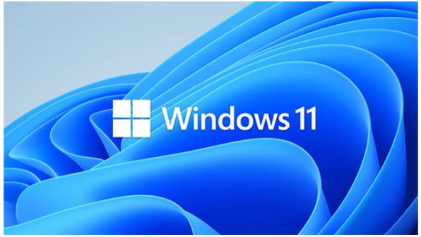 Microsoft Windows 11 Professional for Workstation 64 BIT - By Order NEW Microsoft