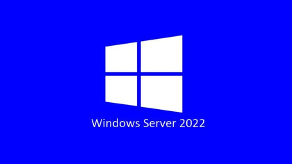 Microsoft Server Standard 2022 ( 24 Core ) OEM Physical Pack - P73-08346 Indludes 2 x VM, Does not include any CALs Microsoft