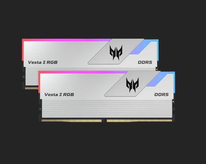 Predator Vesta II DDR5 6000 MHz 32GB (16GB*2) 1R*8 PC5 6000 CL36-45-45-96  Supports XMP 3.0 & EXPO Silver BL.9BWWR.653