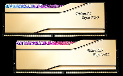 G.SKILL F5-6000J2836F48GX2-TR5NG 48GB  (2 x 48GB)/ DDR5 6000 MT/s/ Timings 36-36-36-96/ Voltage 1.35V/ EXPO/Trident Z5 Royal Neo