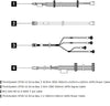 LENOVO ThinkSystem ST50 V2 Internal Drive Cable Kit for ST50V2